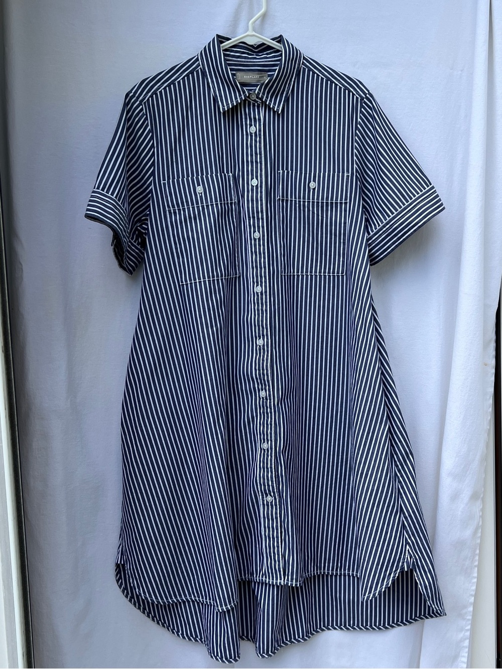 Everlane Daytripper Shirt Dress